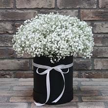 Цветочная композиция из Гипсофила в шляпной коробке #REPLACE_PRED# Заречном Свердловской области